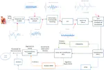 Speaker Identification using Machine Learning Approaches